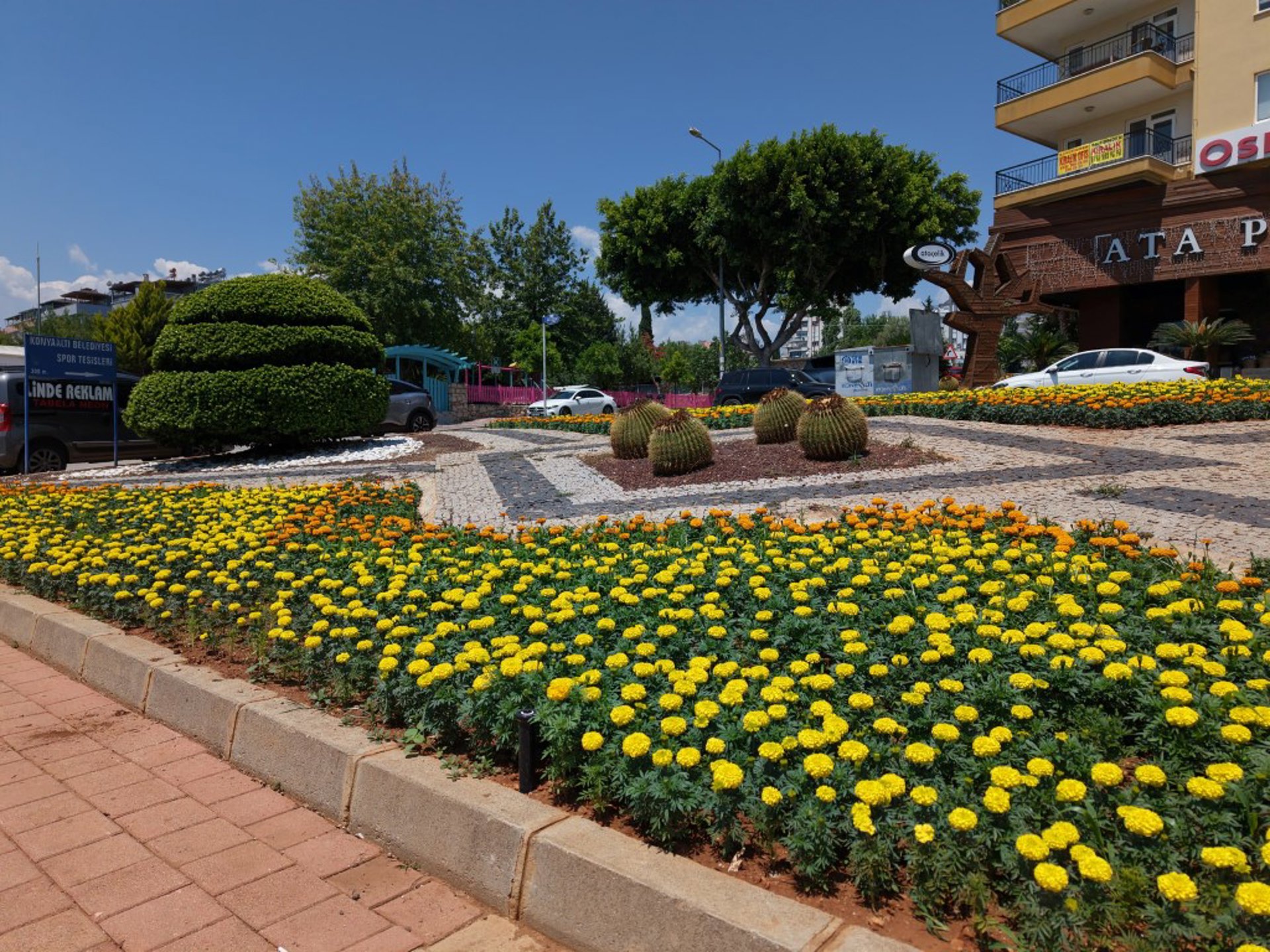 Haber fotoğrafı 2