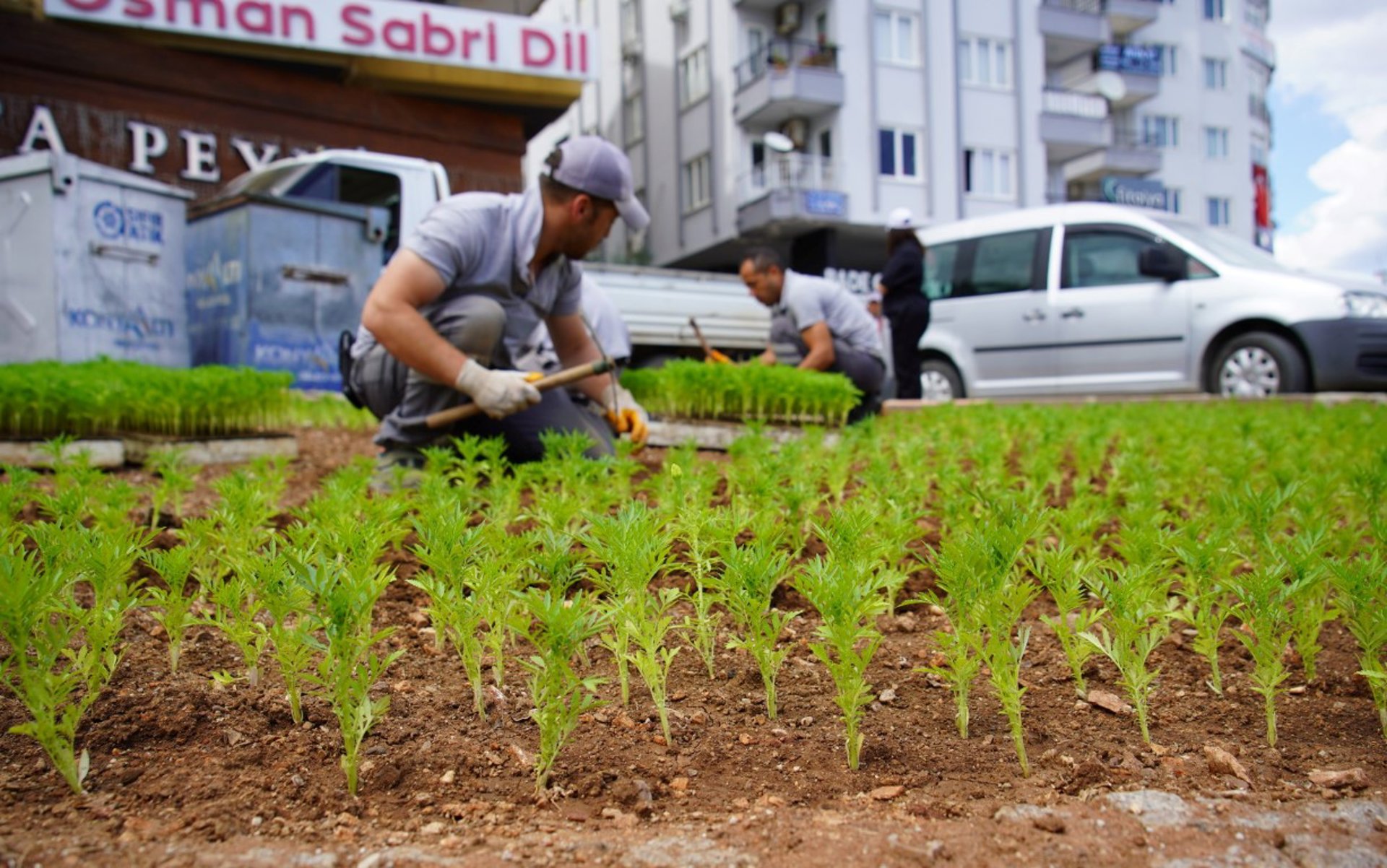 Haber fotoğrafı 6