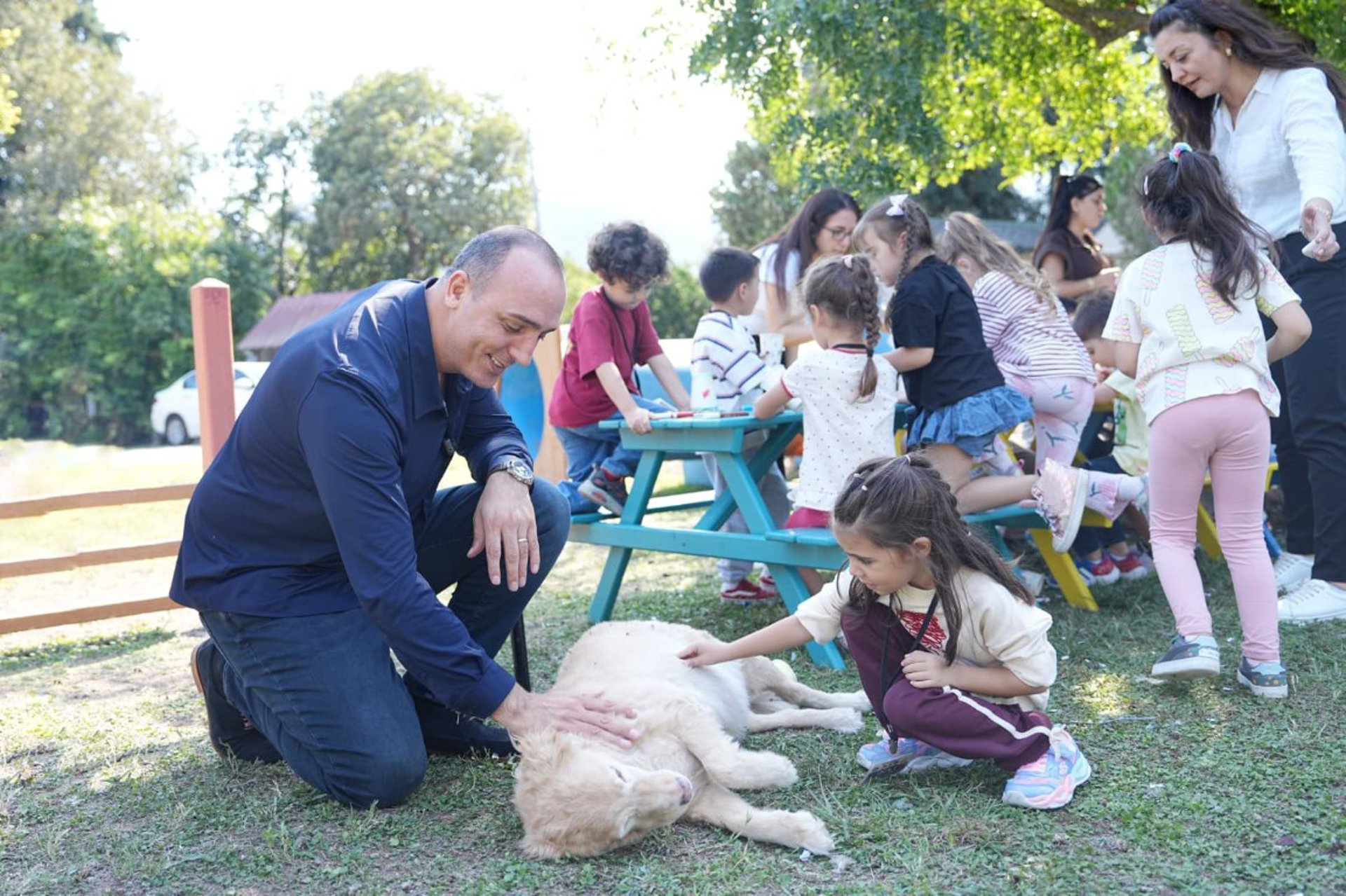 Haber fotoğrafı 3