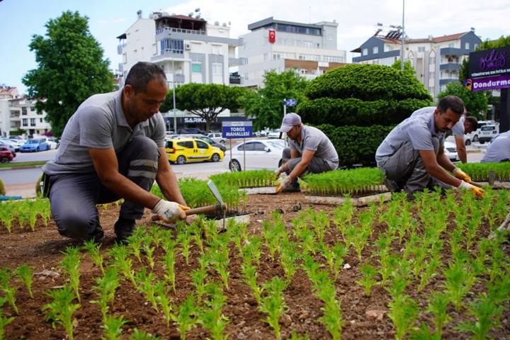 Konyaaltı Belediyesi üretiyor cadde ve sokaklar güzelleşiyor